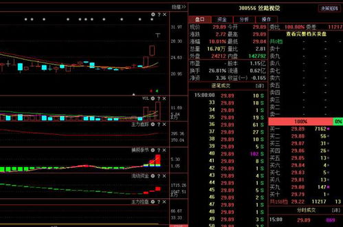 絲路視覺（300556） 主力悄然布局，計(jì)算機(jī)軟硬件業(yè)務(wù)驅(qū)動(dòng)下未來走勢(shì)深度解析
