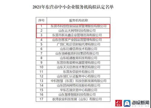 東營高新區(qū)再添新翼 三家市級(jí)中小企業(yè)服務(wù)機(jī)構(gòu)獲認(rèn)定，聚焦計(jì)算機(jī)軟硬件開發(fā)與銷售